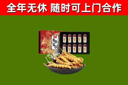 蓬莱烟酒回收冬虫夏草礼盒.jpg