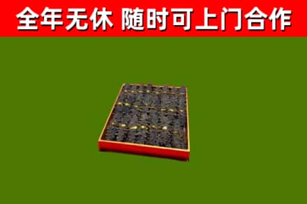 蓬莱回收海参